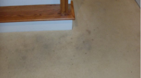 dirty carpet before cleaning